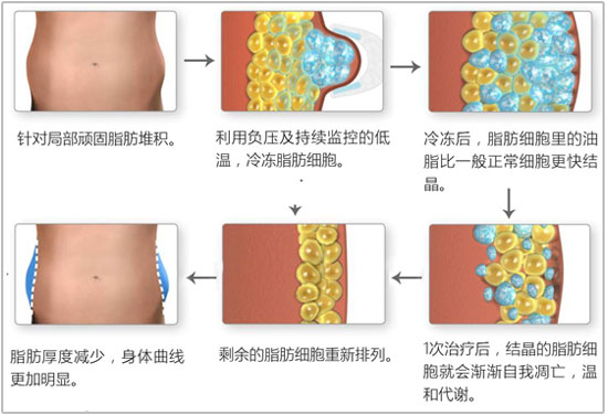 安全双认证,效果有保障